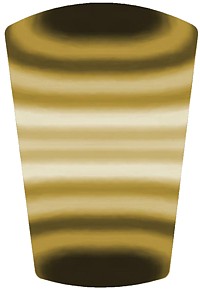 Gold Medal Shoe Stickers