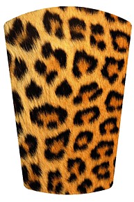 Leopard Print Shoe Stickers