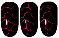 Pink Giraffe Nail Wraps