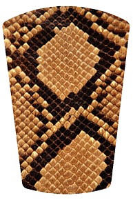 Snake Skin Shoe Stickers