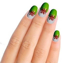 Welsh Flag Nail Art Nail Wraps